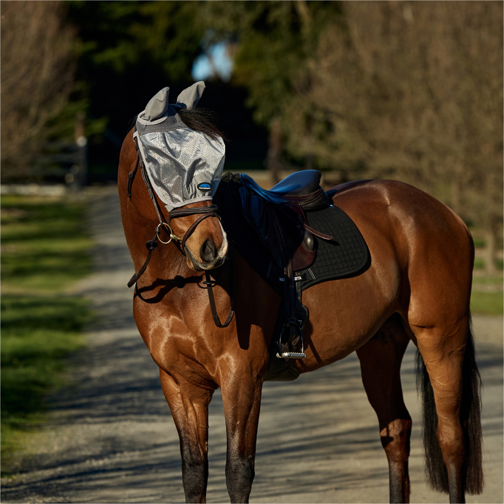 2026 WeatherBeeta Comfitec Hexi Shield Ride On Fly Mask 1029740 - Silver